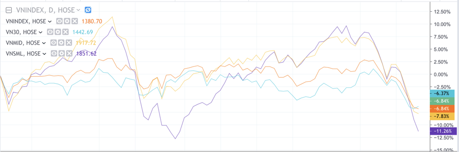 After being purged, how cheap were Vietnamese stocks? - Photo 1