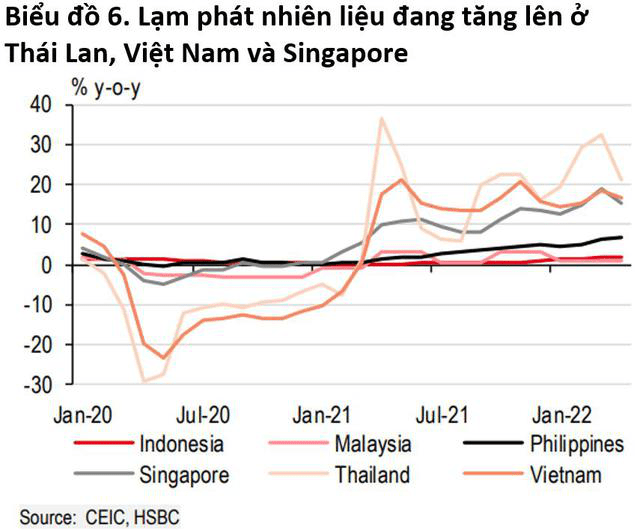 Is Vietnam's fuel inflation high or low compared to other countries in the region? - Photo 2.