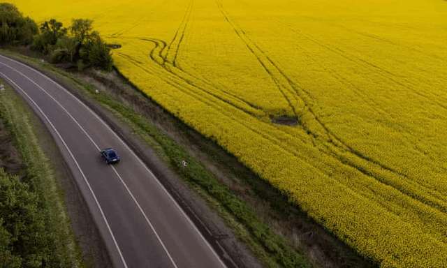 People in Europe pour 17,000 tons of cooking oil into their cars every day due to rising fuel prices - Photo 2.